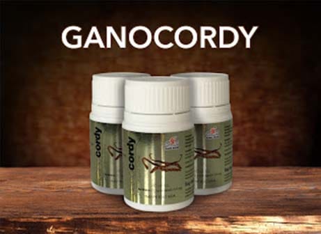 Ganocordy