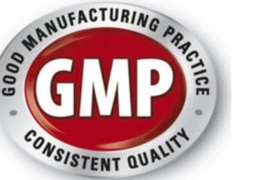 GMP Belgesi