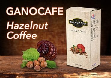Ganocafe Hazelnut Coffee