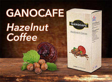 Ganocafe Hazelnut Coffee